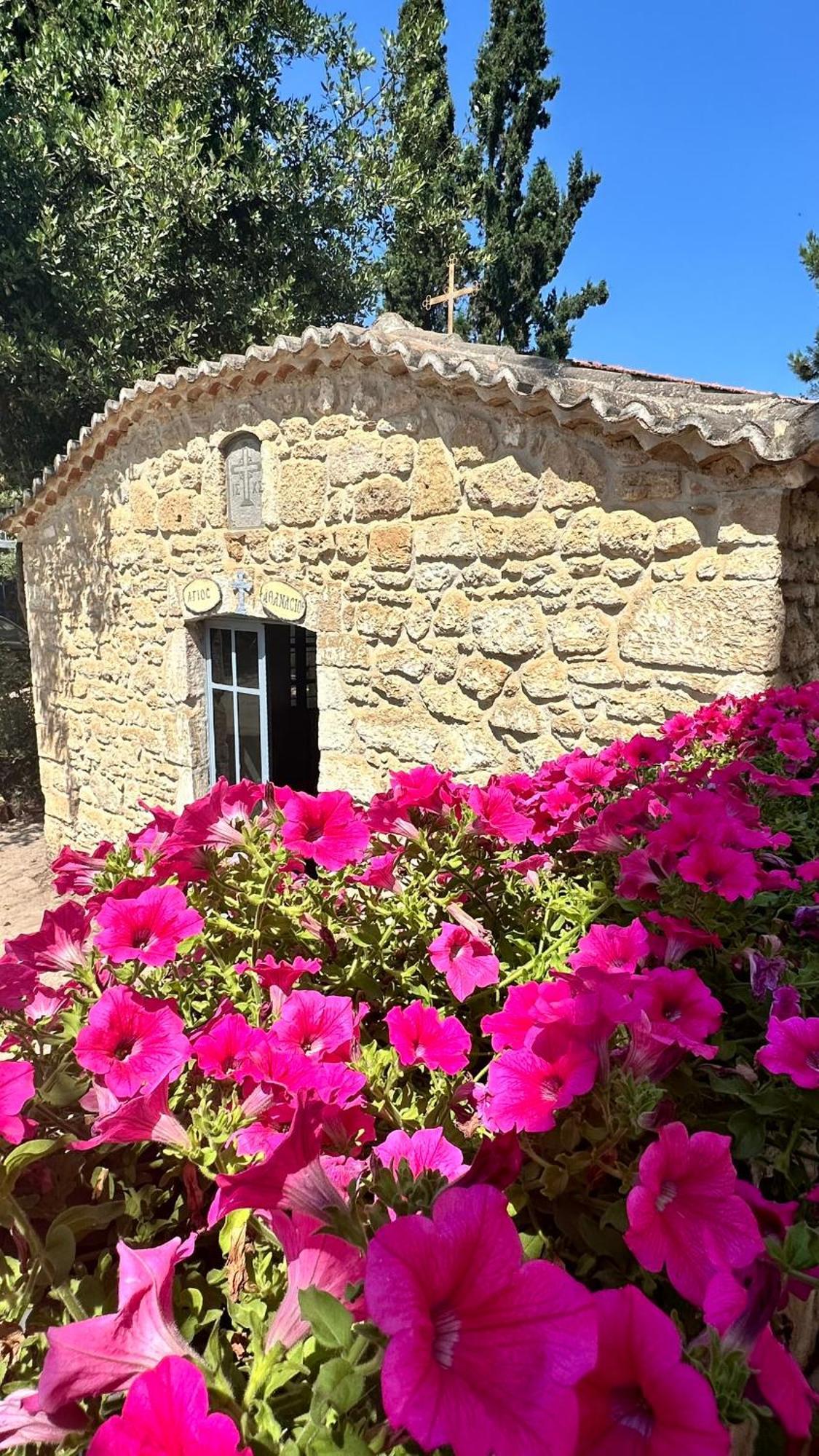 Anatoli Halkidiki Apartment *