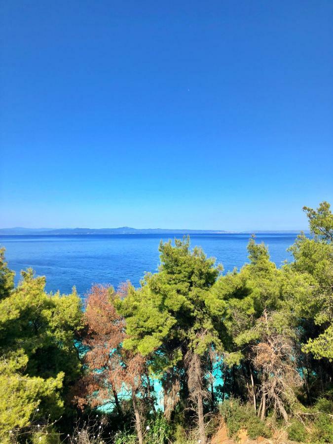 Anatoli Halkidiki Apartment